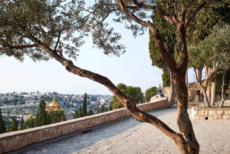 סיור ללימוד ערבית מדוברת בירושלים – תמונה 8