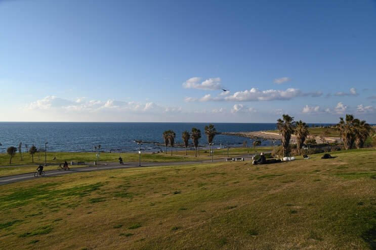 סיור ערבית מדוברת בשכונת עג’מי – תמונה 2
