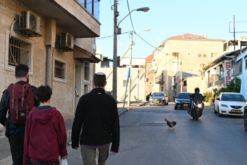 סיור ערבית מדוברת בשכונת עג’מי – תמונה 3