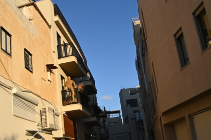 סיור ערבית מדוברת בשכונת עג’מי – תמונה 4