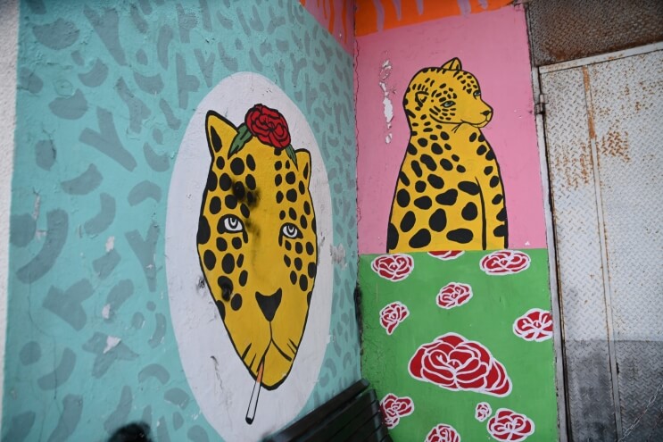 סיור ערבית מדוברת בשכונת עג’מי – תמונה 8